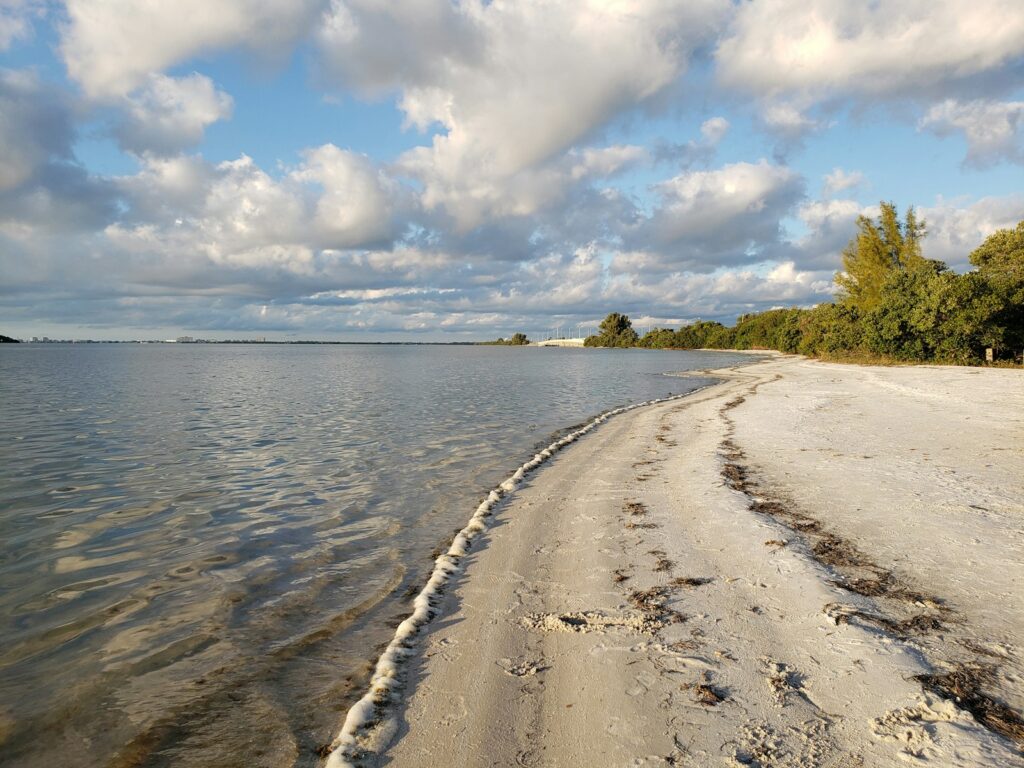 green grass near body of water during daytime