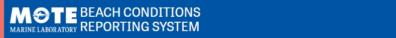 See Current Beach Conditions — VisitBeaches.org